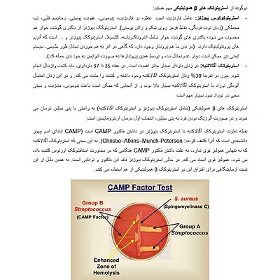 آزمایشگاه میکروبشناسی