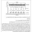 جزوه باکتری شناسی