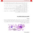 مورفولوژی سلول های خونی، هماتولوژی، خونشناسی، آزمایشگاه